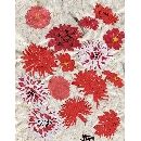 切り絵　FL-01 ダリア