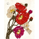 切り絵　FL-04 ポピー