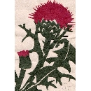 切り絵　FL-07 あざみ