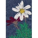 切り絵　FL-08 コスモス