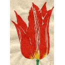 切り絵　FL-09 チューリップ