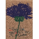 切り絵　FL-10 サマータイム