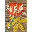 切り絵　FL-14 チューリップ