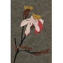 切り絵　FL-30 枯れバラ